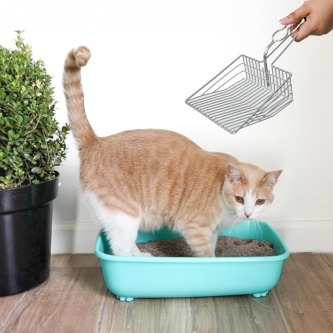 Cat Litter Scoop - Image 6
