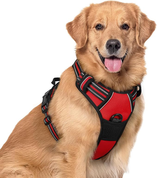 rabbitgoo Dog Harness No Pull by rabbitgoo