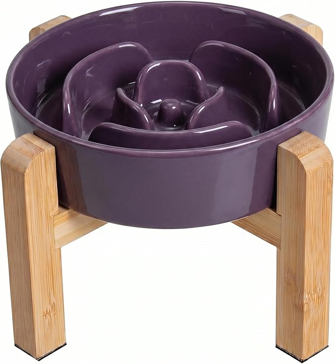 Elevated Slow Feeder Dog Bowl by PTOBER