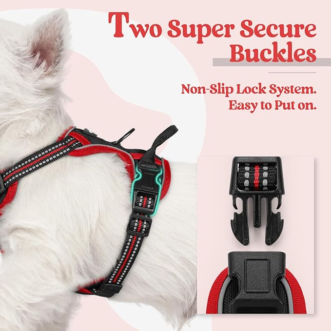 rabbitgoo Dog Harness No Pull - Image 3