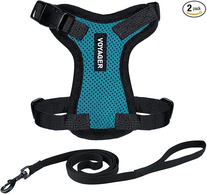Voyager Escape-Proof Step-in Lock Cat Harness & 5ft Neoprene-Handle Leash Set by BestPetSuppliesLLC