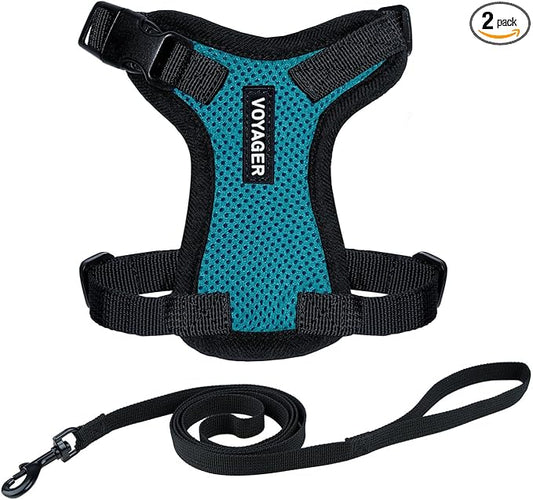 Voyager Escape-Proof Step-in Lock Cat Harness & 5ft Neoprene-Handle Leash Set by BestPetSuppliesLLC