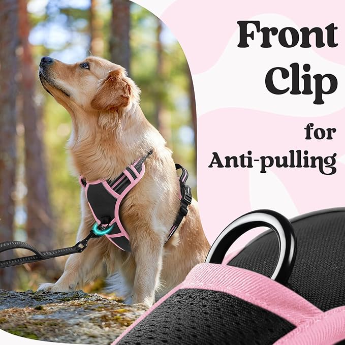 rabbitgoo Dog Harness Small Sized, No Pull Easy On & Off - Image 6
