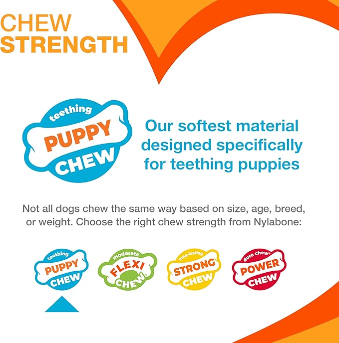 Nylabone Ring Bone Chew Toy for Puppies, Puppy Teething Toys, Puppy Enrichment - Image 5