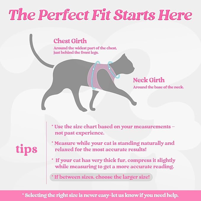 rabbitgoo Cat Harness and Leash, Step-in Escape Proof Kitten Harness Set - Image 2