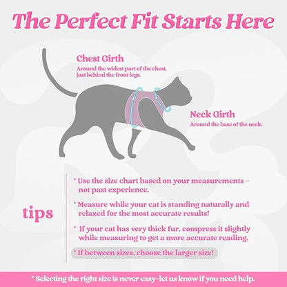 rabbitgoo Cat Harness and Leash, Step-in Escape Proof Kitten Harness Set - Image 2