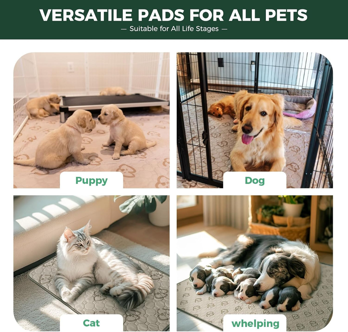 FXW Washable Pee Pads for Dogs, Puppy Pads with Super Absorbent, Specifically Designed for Whelping Box, 36" Round, Khaki, 2 Packs