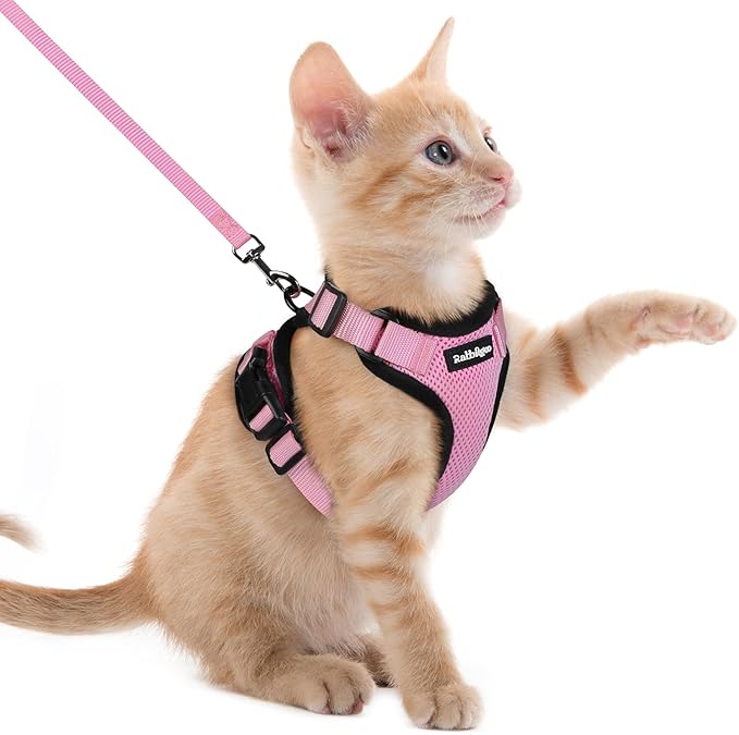 rabbitgoo Cat Harness and Leash Set, Escape Proof Kitten Harness by rabbitgoo