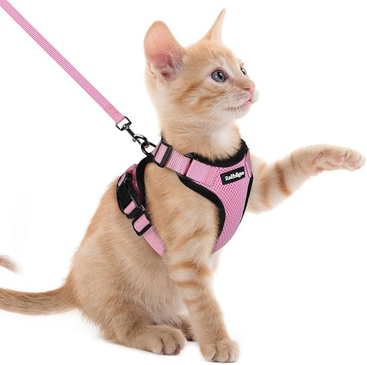 rabbitgoo Cat Harness and Leash Set, Escape Proof Kitten Harness by rabbitgoo