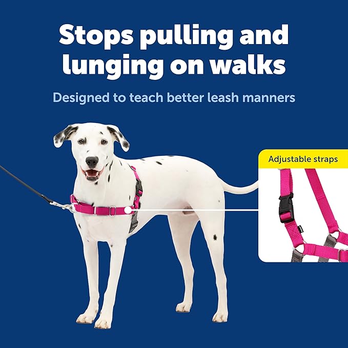 PetSafe Easy Walk No-Pull Dog Harness - Image 3