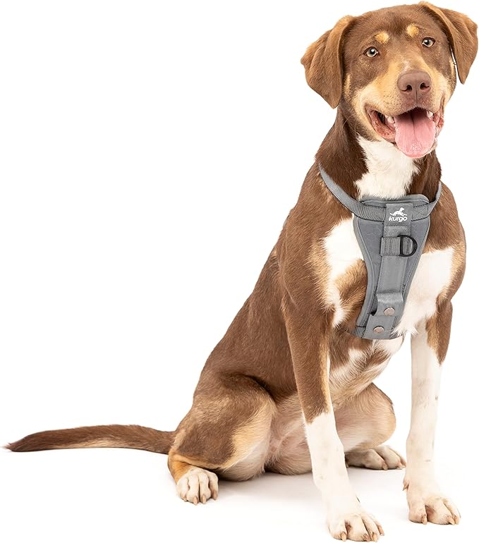 Kurgo Enhanced Strength Tru-Fit Dog Car Harness by Kurgo