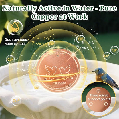 Bird Bath Copper Disk, 4 Inch 0.6mm Thick 99.9% Pure Copper Disc - Image 2