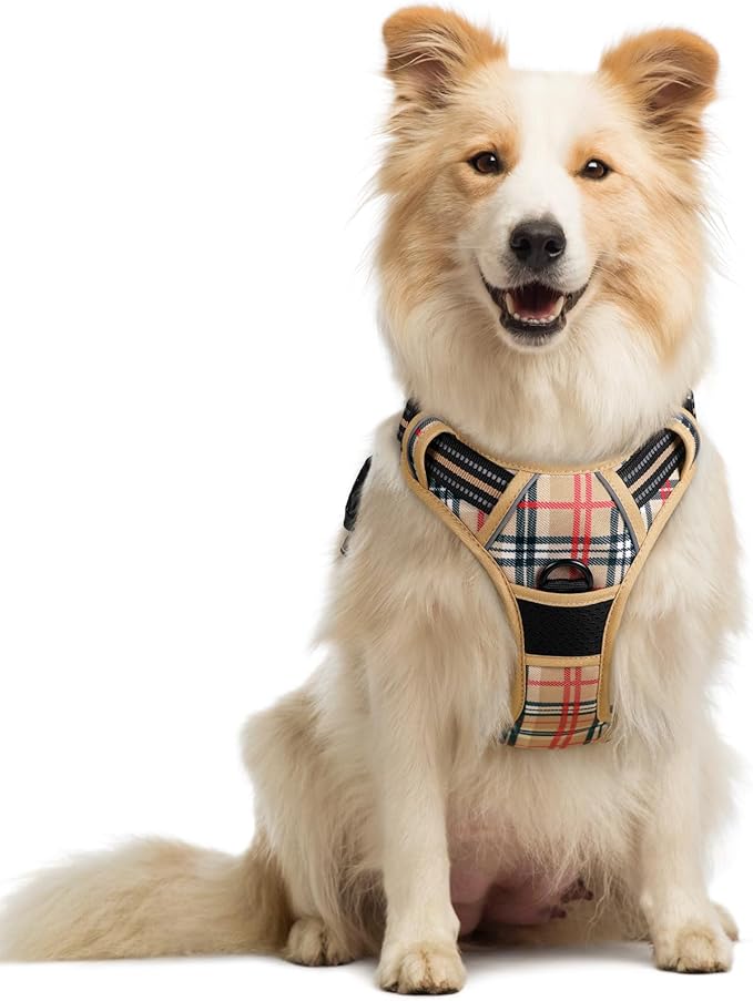 rabbitgoo Dog Harness No Pull by rabbitgoo
