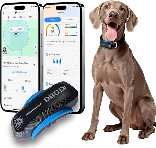 DBDD AI GPS Tracker for Dogs by DBDD