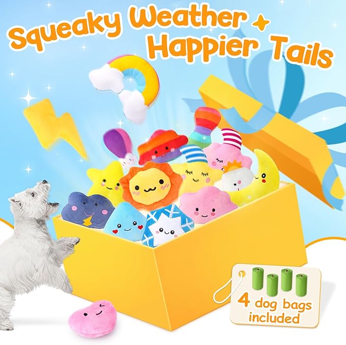 Irresistible Weather-Themed 20-Pack Squeaky Dog Toys Set - Image 2