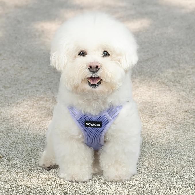 Best Pet Supplies Voyager Adjustable Step-in Flex Breathable Mesh Dog Harness - Image 7