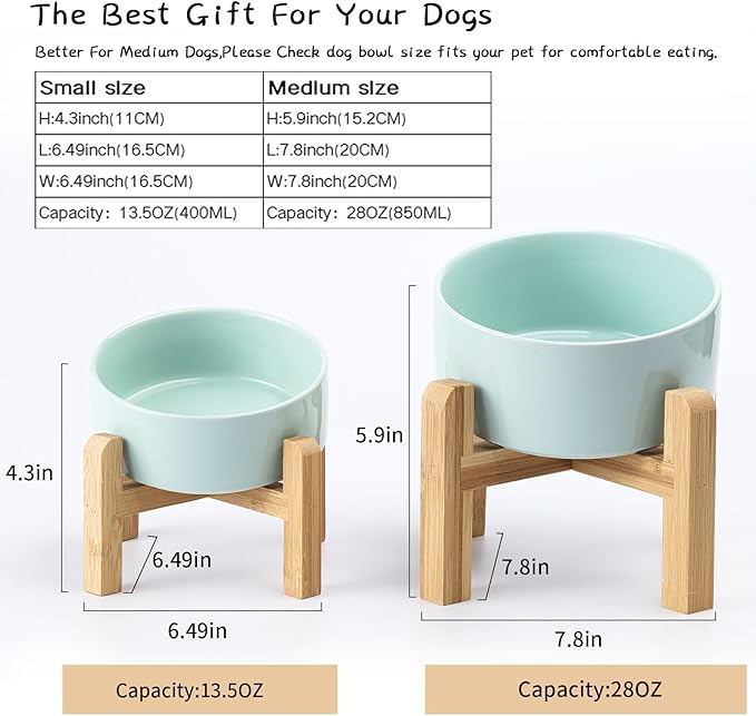 Petygooing 28 OZ Elevated/Raised Ceramic Dog Bowl - Image 3