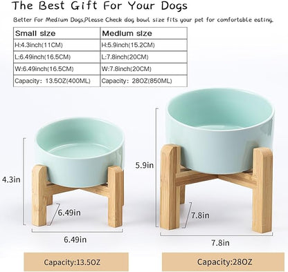 Petygooing 28 OZ Elevated/Raised Ceramic Dog Bowl - Image 3