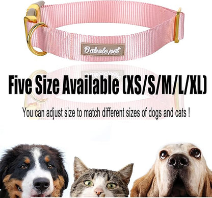 Nylon Dog Collar - Image 7