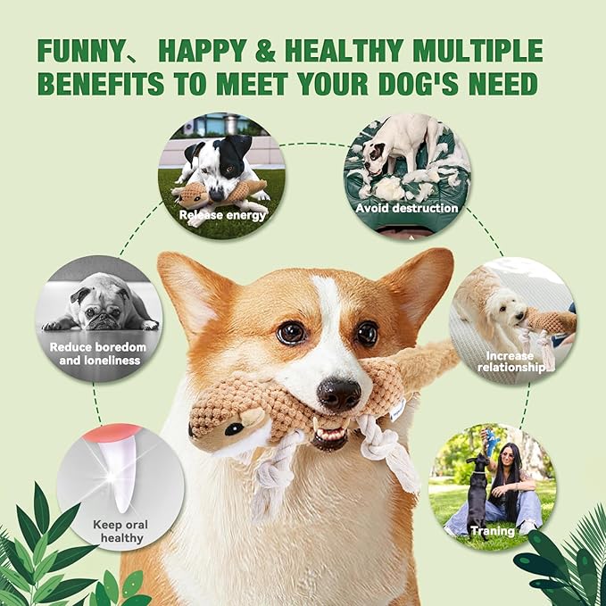 LEGEND SANDY Dog Squeaky Toys for Puppy, 5 Pack Small Dog Toys, Stuffed Animal - Image 5