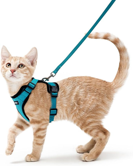 rabbitgoo Cat Harness and Leash Set, Escape Proof Kitten Harness by rabbitgoo
