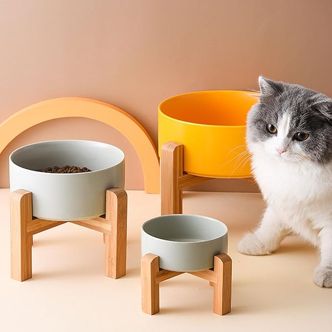 Petygooing Grey Elevated/Raised Ceramic Dog Bowl - Image 6