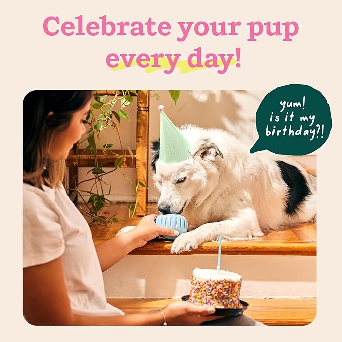 WOOF Party Pupsicle - Image 3