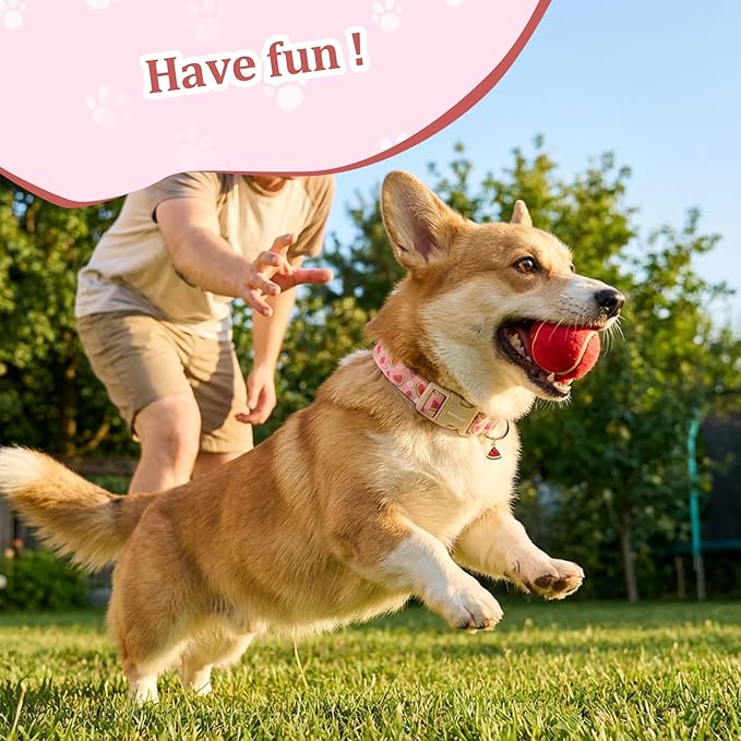Pink Dog Collar with Watermelon - Image 6