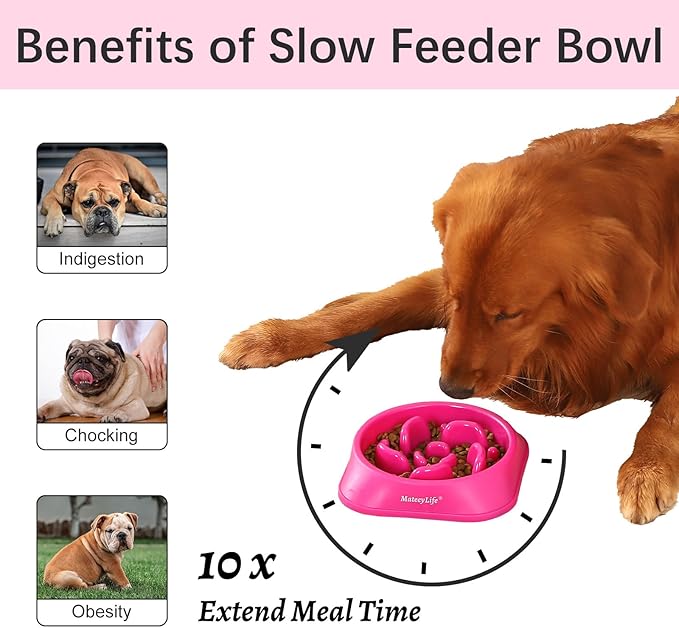 MateeyLife Slow Feeder Dog Bowls, Anti-Choking Puzzle Dog Food Bowls, Anti-Slip - Image 2