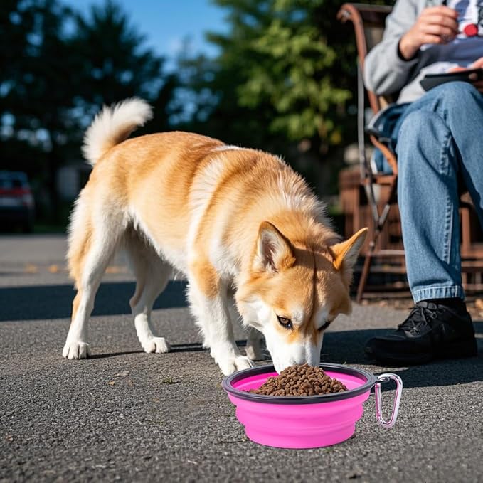 Dog Bowl Pet Collapsible Bowls, 2 Pack Collapsible Dog Water Bowls - Image 6