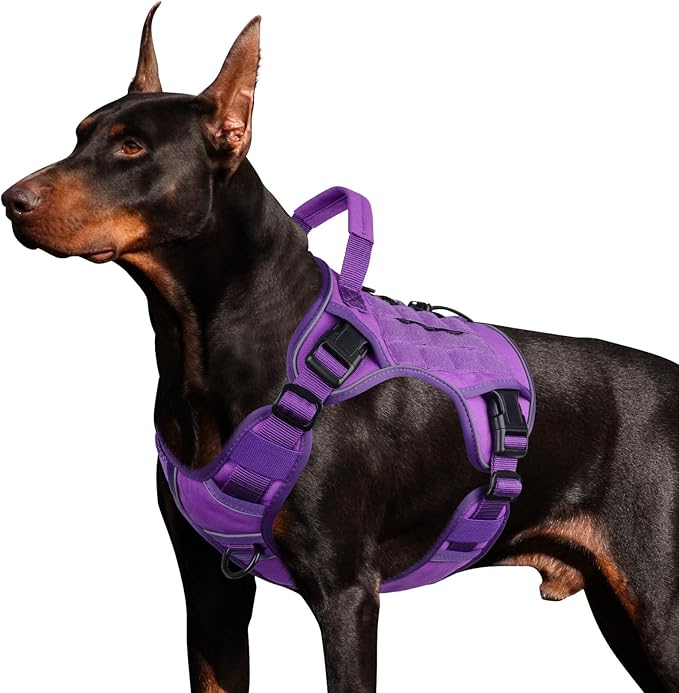 WINGOIN Purple Tactical Dog Harness by WINGOIN