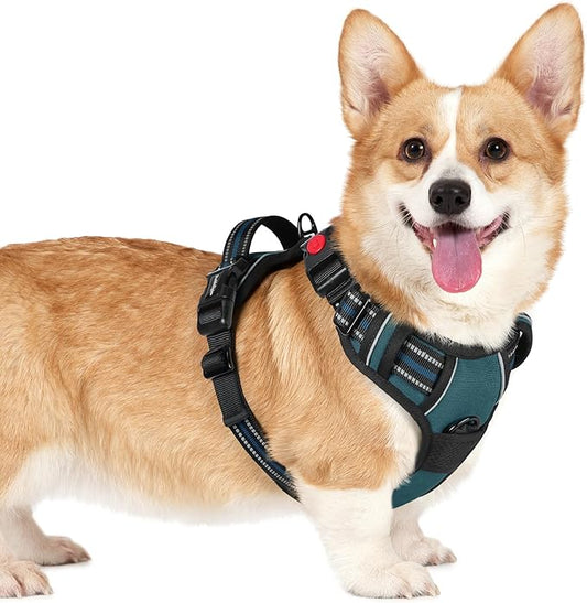 rabbitgoo Dog Harness Small Sized, No Pull Easy On & Off by rabbitgoo