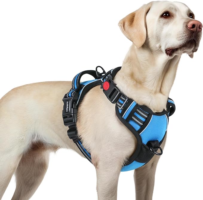 rabbitgoo Dog Harness for Large, No Pull Easy On & Off by rabbitgoo