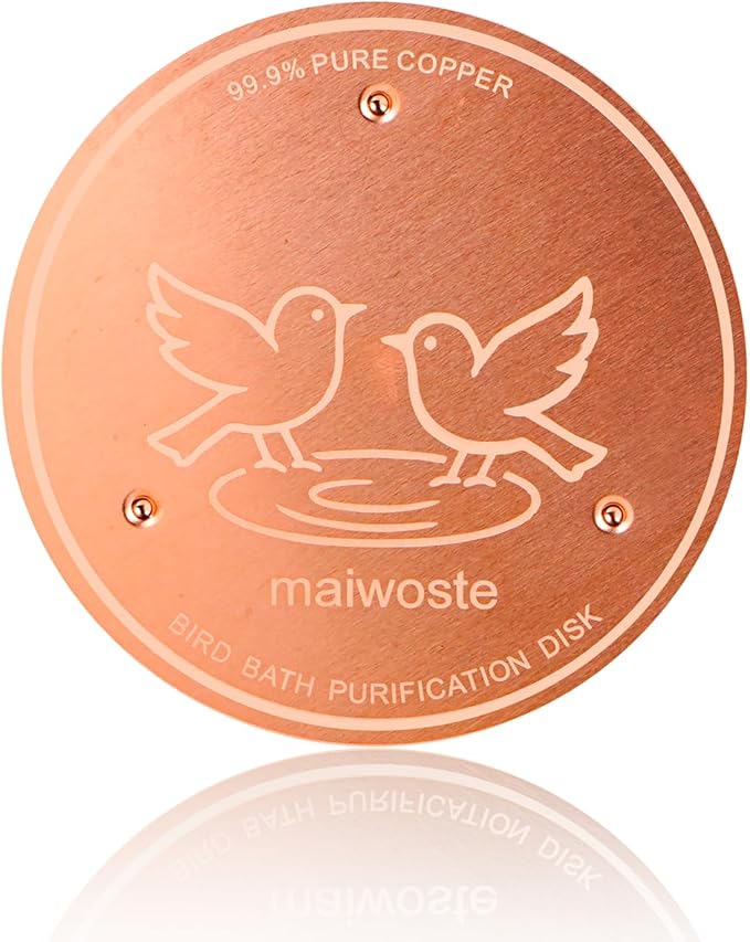 Bird Bath Copper Disk, 4 Inch 0.6mm Thick 99.9% Pure Copper Disc by Unknown