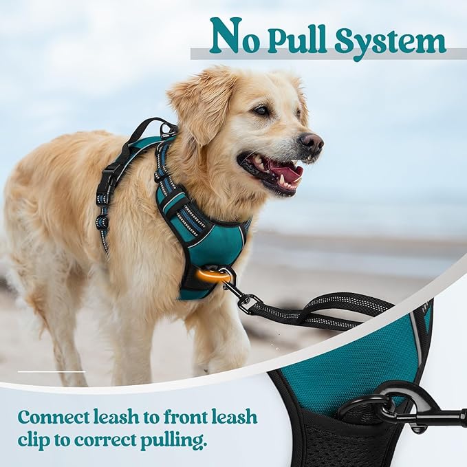 rabbitgoo Dog Harness No Pull - Image 5