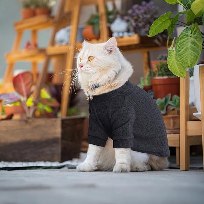 Idepet Sphynx Hairless Cats Sweater Shirt Kitten Soft Puppy Clothes Pullover - Image 5