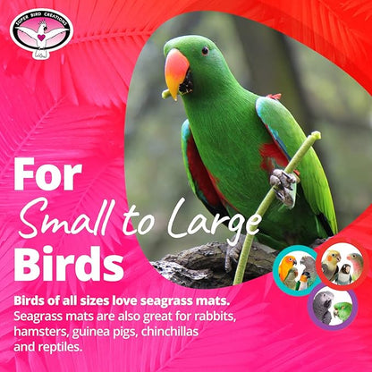 Super Bird Creations SB50005 Seagrass Mat - Image 3