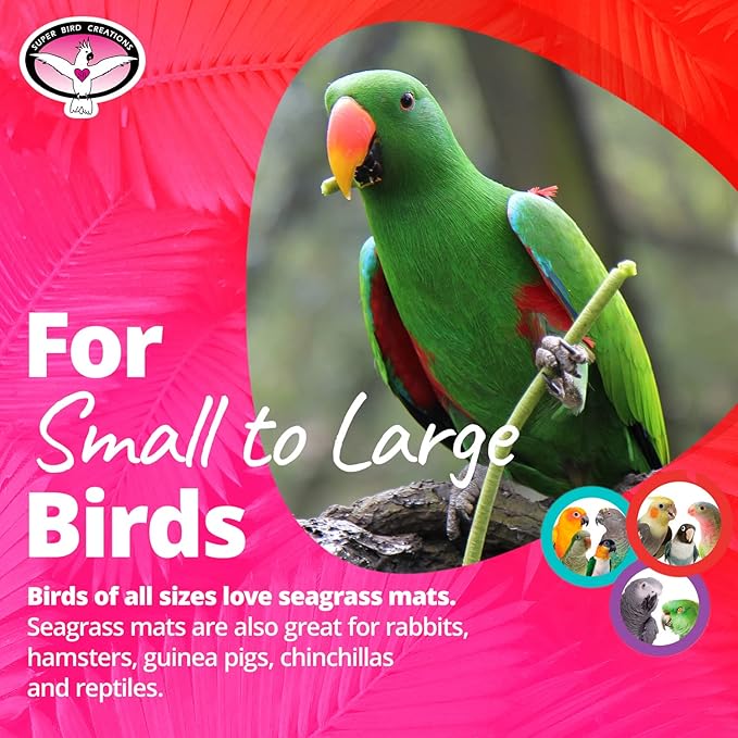 Super Bird Creations SB50004 Seagrass Mat - Image 3