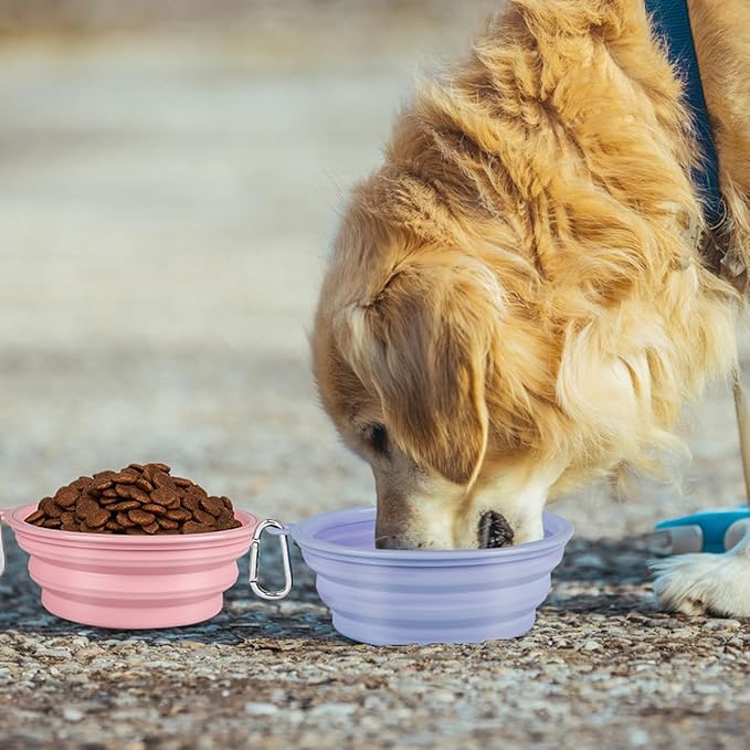 Kytely Collapsible Dog Bowls 2 Pack - Image 8