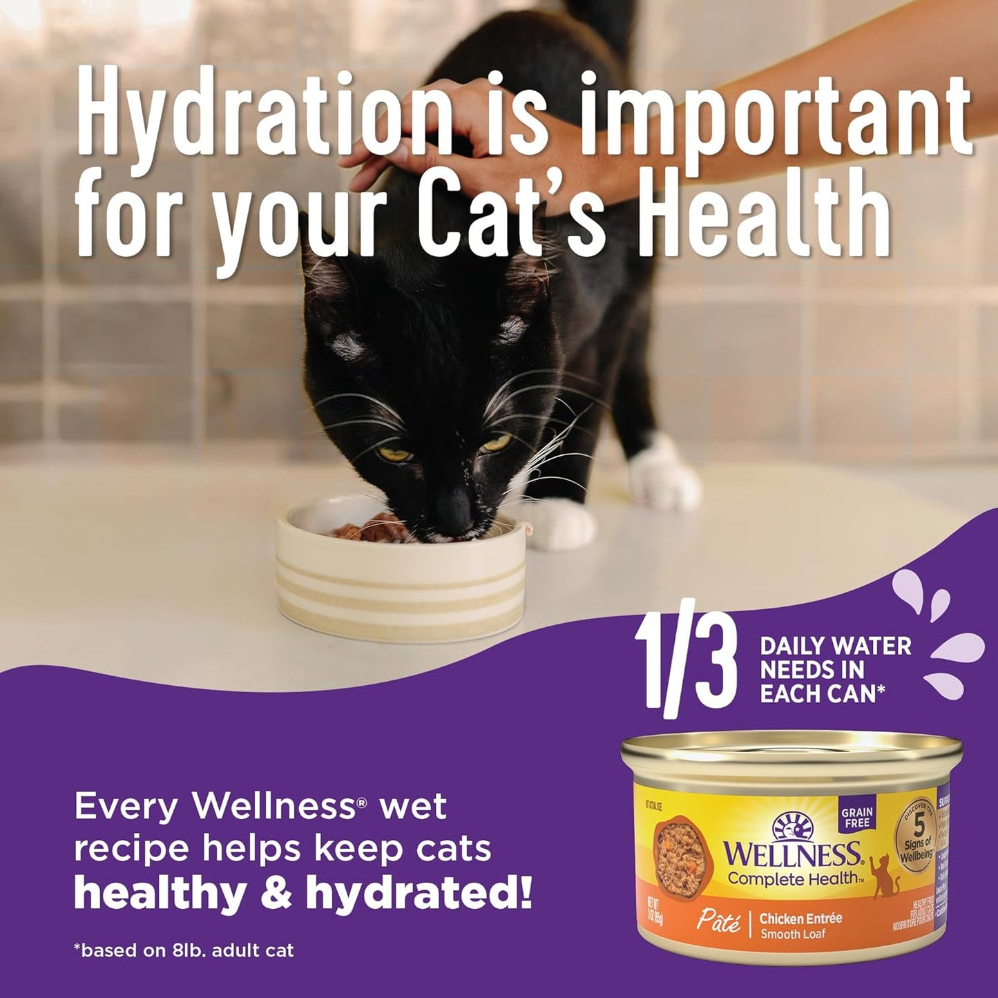 Wellness Complete Health Pate Adult Wet Cat Food, Natural, Protein-Rich, Grain-Free, 3 Ounce, 24 Pack, (Seafood Favorites Variety Pack)