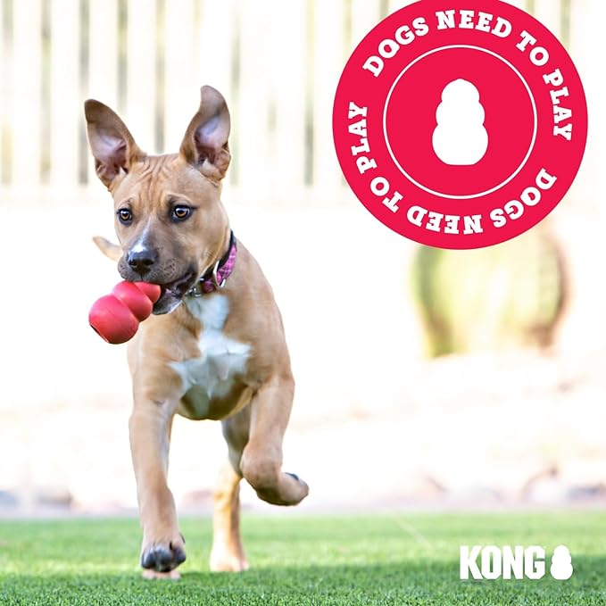 KONG Puppy Binkie - Image 6