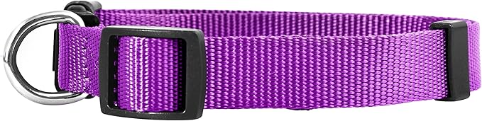 Native Pup Basic Nylon Dog Collar, Adjustable - Image 2