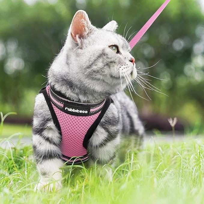 rabbitgoo Cat Harness and Leash Set - Image 9