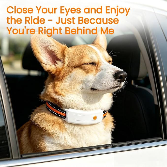 Wireless Dog Fence System, 4G LTE GPS Dog Collar - Image 6