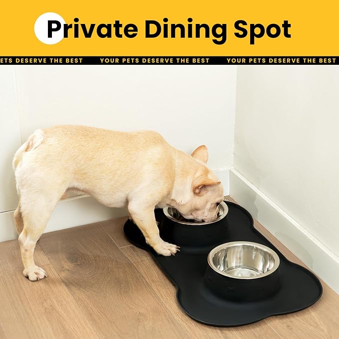 Conlun Medium Pet Feeding Station, 29oz Stainless Steel Dog Bowls Set, No Spill - Image 4