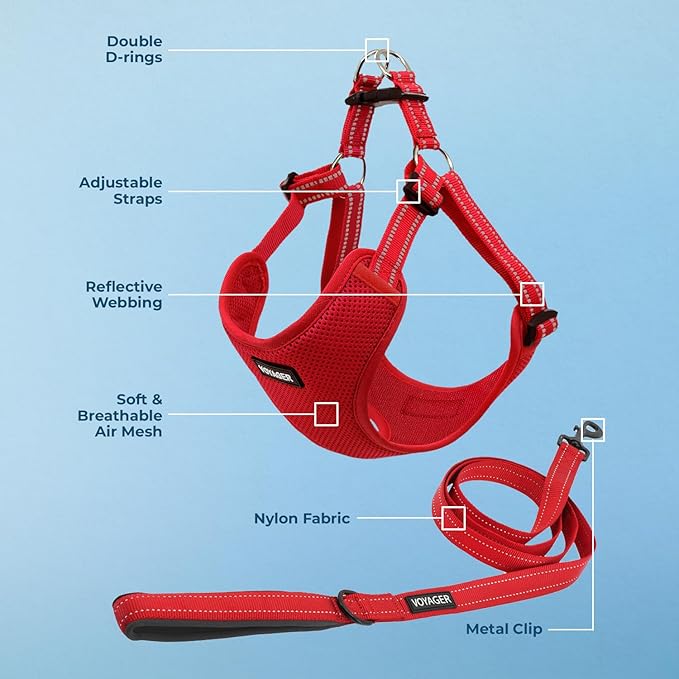 Best Pet Supplies Voyager Adjustable Step-in Flex Breathable Mesh Dog Harness - Image 4
