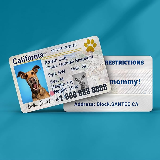 Dog License Tag Custom Pet Driver License ID Tags Dog Name Tags Personalized - Image 3