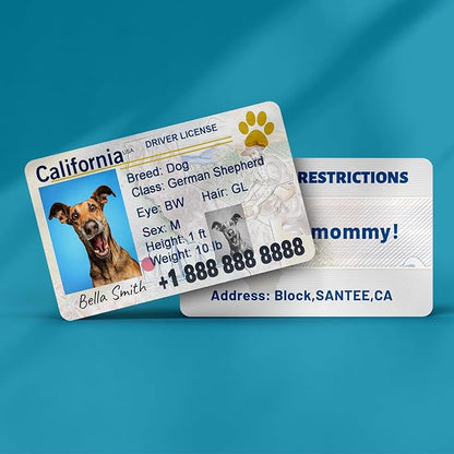Dog License Tag Custom Pet Driver License ID Tags Dog Name Tags Personalized - Image 3