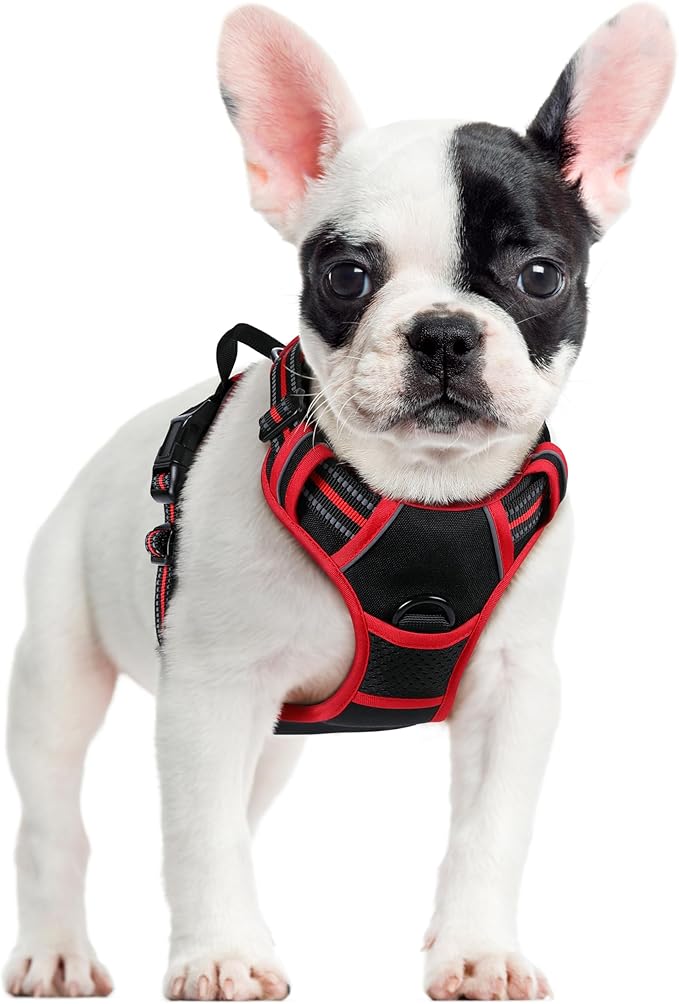 rabbitgoo Dog Harness No Pull by rabbitgoo