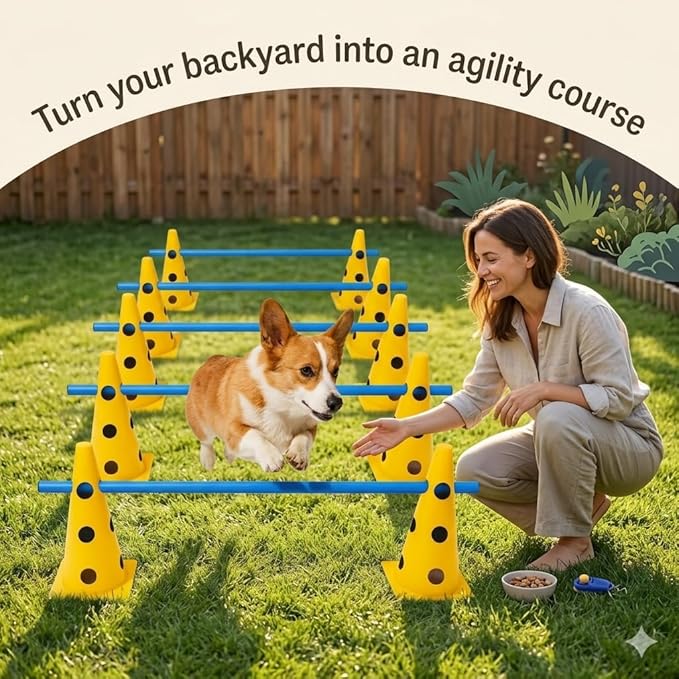 Dog Agility Training Jumping Hoop - Image 3